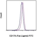 CD178 (Fas Ligand) Monoclonal Antibody (MFL3), FITC, eBioscience™