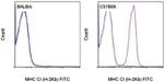 MHC Class I (H-2Kb) Monoclonal Antibody (AF6-88.5.5.3), FITC, eBioscience™