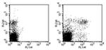Ly-49C/I/F/H Monoclonal Antibody (14B11), FITC, eBioscience™