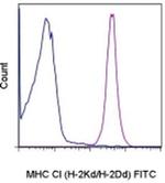 MHC Class I (H-2Kd/H-2Dd) Monoclonal Antibody (34-1-2S), FITC, eBioscience™