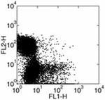 IFN gamma Monoclonal Antibody (XMG1.2), FITC, eBioscience™
