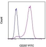 CD257 (BAFF, BLyS) Monoclonal Antibody (1D6), FITC, eBioscience™