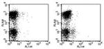 CD282 (TLR2) Monoclonal Antibody (6C2), FITC, eBioscience™
