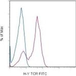 TCR H-Y (male antigen) Monoclonal Antibody (T3.70), FITC, eBioscience™