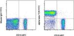 TCR alpha/beta Monoclonal Antibody (IP26), FITC, eBioscience™