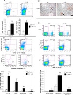 CD3e Antibody in Flow Cytometry (Flow)