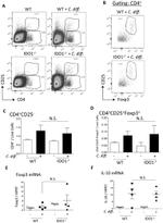 CD25 Antibody in Flow Cytometry (Flow)