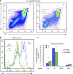 CD3e Antibody in Flow Cytometry (Flow)