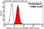PROX1 Antibody in Flow Cytometry (Flow)