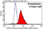 P2RX7 Antibody in Flow Cytometry (Flow)