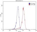 OGFR Antibody in Flow Cytometry (Flow)