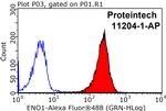 ENO1 Antibody in Flow Cytometry (Flow)