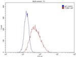 HLA-DPB1 Antibody in Flow Cytometry (Flow)