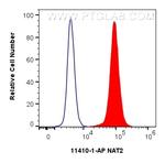 NAT2 Antibody in Flow Cytometry (Flow)