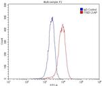 ASGR2 Antibody in Flow Cytometry (Flow)
