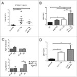 Mouse IgM Antibody in Flow Cytometry, ELISA (Flow, ELISA)