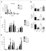 Mouse IgM Antibody in ELISA (ELISA)