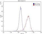 IFITM3 Antibody in Flow Cytometry (Flow)