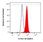 RAB13 Antibody in Flow Cytometry (Flow)