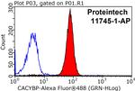 CACYBP Antibody in Flow Cytometry (Flow)