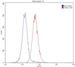 TIM3 Antibody in Flow Cytometry (Flow)
