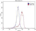 RGR Antibody in Flow Cytometry (Flow)