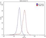 Glutamate receptor 2 Antibody in Flow Cytometry (Flow)