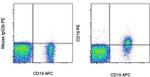 CD1d Monoclonal Antibody (51.1), PE, eBioscience™