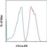 CD1a Monoclonal Antibody (SK9), PE, eBioscience™