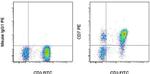 CD7 Antibody in Flow Cytometry (Flow)