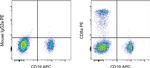 CD8a Antibody in Flow Cytometry (Flow)