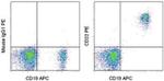 CD22 Monoclonal Antibody (eBio4KB128 (4KB128)), PE, eBioscience™