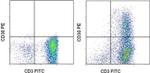 CD30 Monoclonal Antibody (Ber-H2), PE, eBioscience™