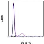 CD40 Monoclonal Antibody (5C3), PE, eBioscience™
