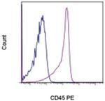 CD45 Monoclonal Antibody (OX1), PE, eBioscience™