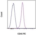 CD46 Monoclonal Antibody (8E2), PE, eBioscience™