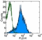 CD54 (ICAM-1) Monoclonal Antibody (eBioKAT-1 (KAT-1, KAT1)), PE, eBioscience™