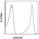 CD59 (Protectin) Monoclonal Antibody (OV9A2), PE, eBioscience™