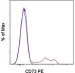 CD73 Monoclonal Antibody (AD2), PE, eBioscience™