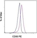 CD80 (B7-1) Monoclonal Antibody (2D10.4), PE, eBioscience™