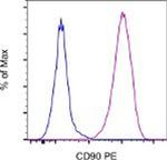 CD90 (Thy-1) Monoclonal Antibody (eBio5E10 (5E10)), PE, eBioscience™