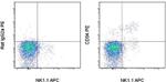 CD94 Monoclonal Antibody (18d3), PE, eBioscience™