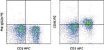 CD96 (TACTILE) Monoclonal Antibody (6A6), PE, eBioscience™