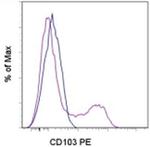 CD103 (Integrin alpha E) Monoclonal Antibody (B-Ly7), PE, eBioscience™