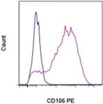CD106 (VCAM-1) Monoclonal Antibody (STA), PE, eBioscience™
