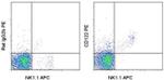CD122 Monoclonal Antibody (TM-b1 (TM-beta1)), PE, eBioscience™