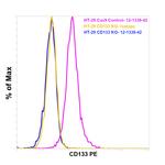 CD133 (Prominin-1) Monoclonal Antibody (TMP4), PE, eBioscience™