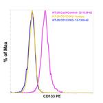CD133 (Prominin-1) Antibody in Flow Cytometry (Flow)