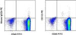 CD133 (Prominin-1) Monoclonal Antibody (EMK08), PE, eBioscience™