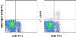 CD158f Monoclonal Antibody (UP-R1), PE, eBioscience™